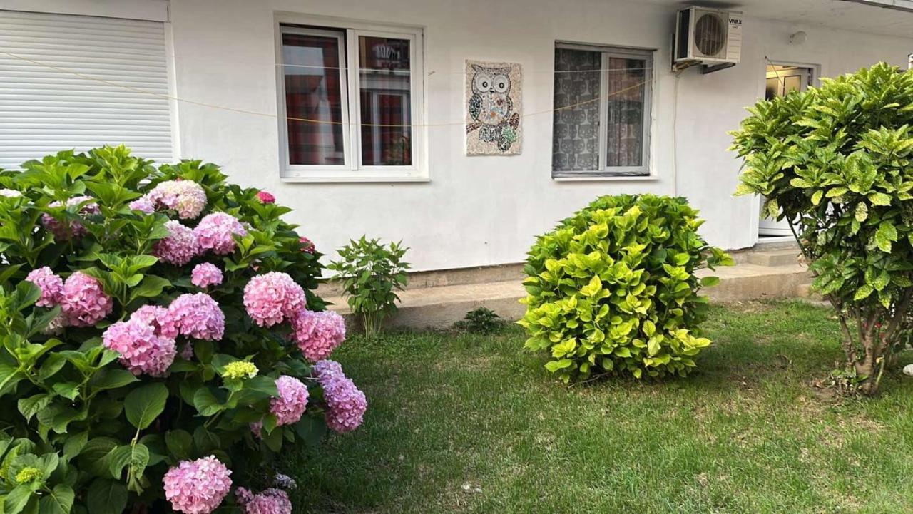 Apartment Aleksandra Bar Exteriér fotografie
